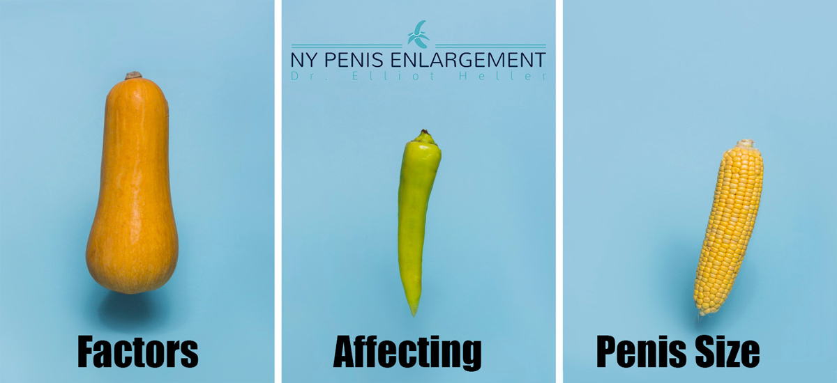 Factors That Affect Penis Size: 6 Things That Determine Length and Girth
