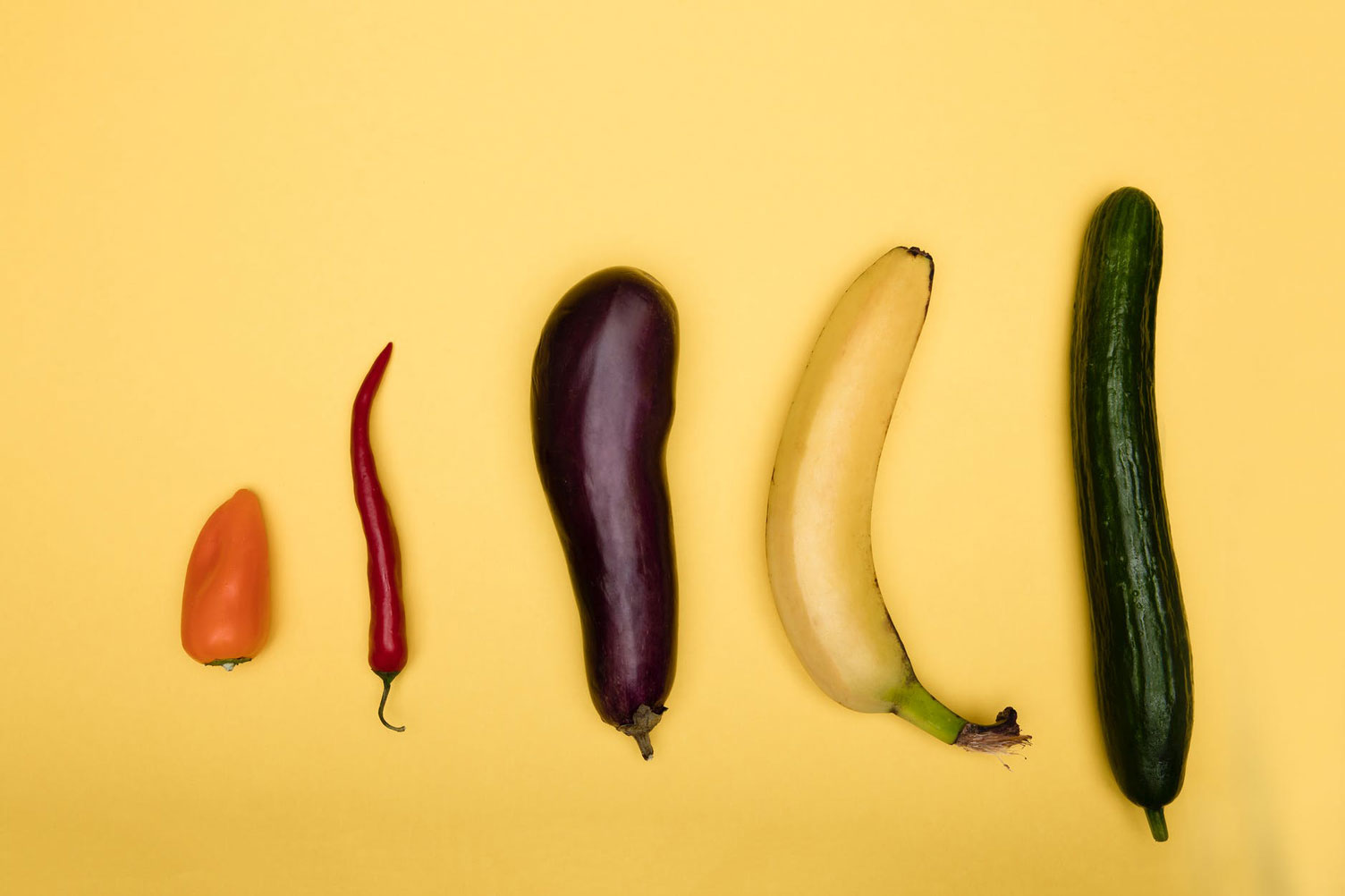 10 Reasons a Larger Penis Makes for a Happier Life